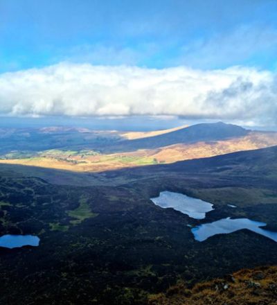 bcba11aa 65bf 410d 91e4 ca2d439d1946