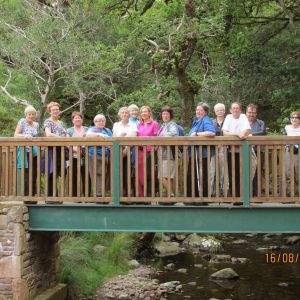 Saturday Walkers in Killarney