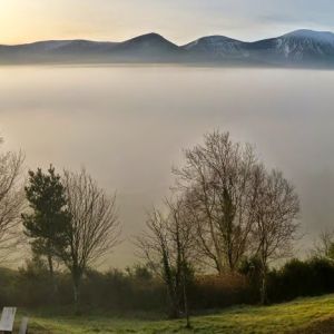 A moderate walk 08/02/2015