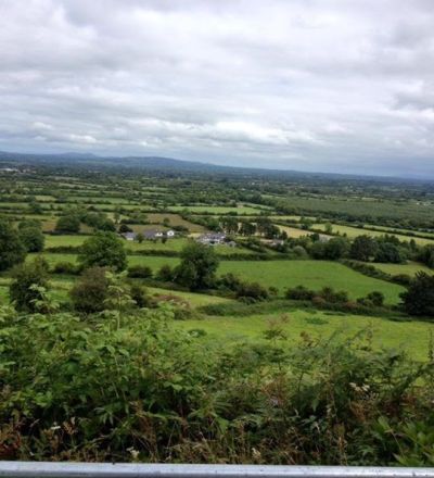 0733CCE3 9653 427B A5AE E399FEB48A3A