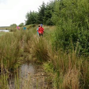 Ashford 13th August 2016