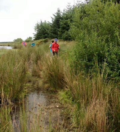 0B9DAFAA 62C3 4C96 9996 4FAFF45BB9ED