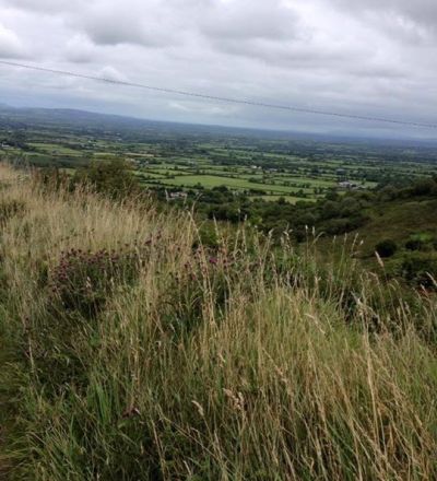 37531272 5458 450F 876A FD979727F1B4