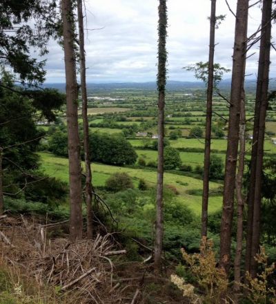 59230210 C62A 4ABF 81D8 D1ECFF953D14