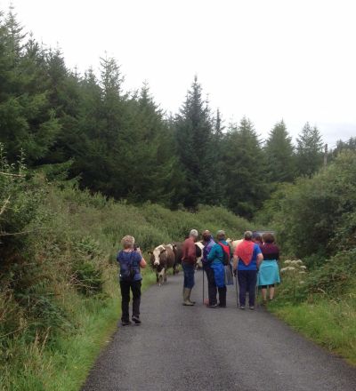 643F9303 B9BA 4BC2 9E8A D7B63DB1EBF4