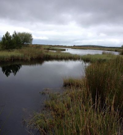 E50C7FBD 4473 4D42 9F7A 5B608C19B5E1