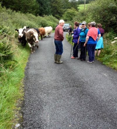 EF0B55C7 F64C 4B4C A70A E821D57BEC9B