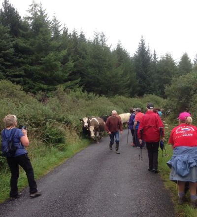 F01029D3 C7D4 418F 8425 541B52B83BA4