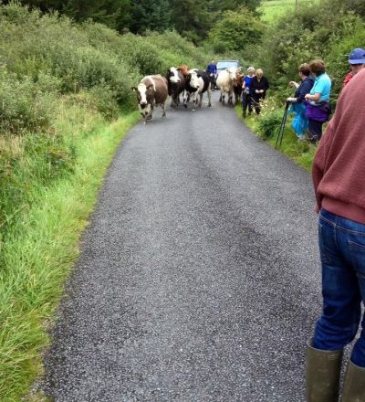 F1EACCF8 0DB8 49EB 8042 BCD3C0A97D19