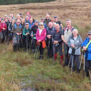 Friendship Walk 2025